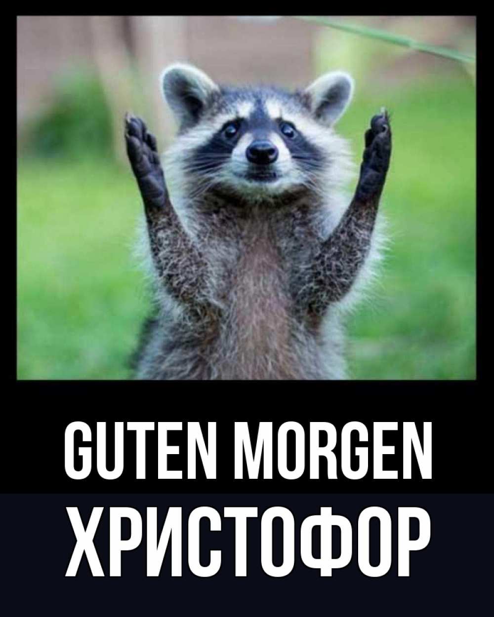 Открытка на каждый день с именем, Христофор Guten Morgen хорошее настроение утречком Прикольная открытка с пожеланием онлайн скачать бесплатно 