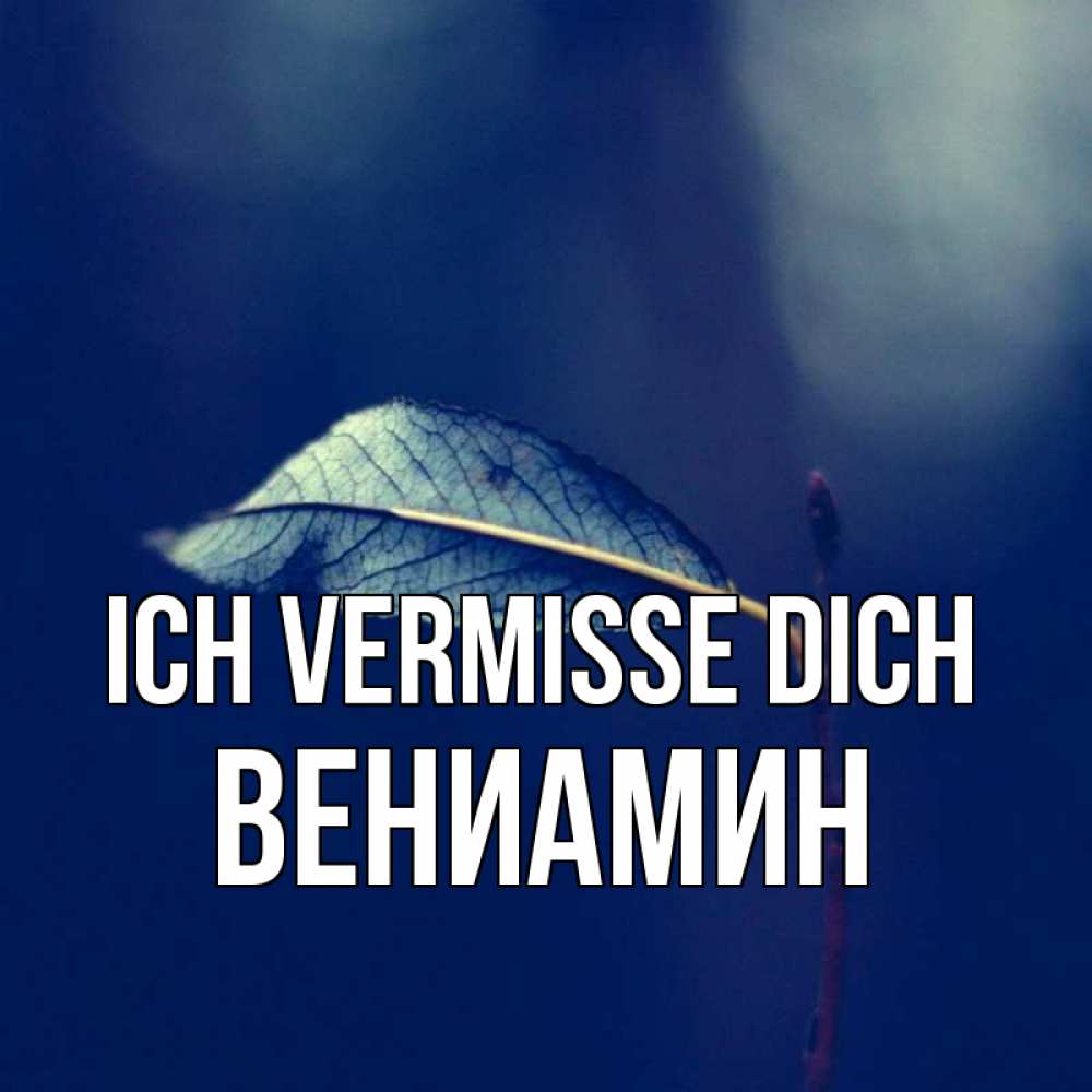 Открытка на каждый день с именем, Вениамин Ich vermisse dich одна ветка 1 Прикольная открытка с пожеланием онлайн скачать бесплатно 