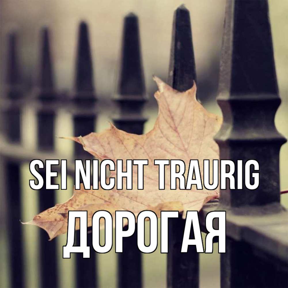 Открытка на каждый день с именем, Дорогая Sei nicht traurig лист клена Прикольная открытка с пожеланием онлайн скачать бесплатно 