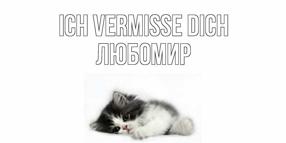 Открытка на каждый день с именем, Любомир Ich vermisse dich кот, скука Прикольная открытка с пожеланием онлайн скачать бесплатно 