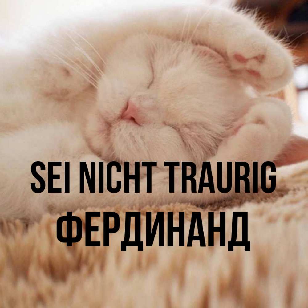 Открытка на каждый день с именем, Фердинанд Sei nicht traurig Котенок спит Прикольная открытка с пожеланием онлайн скачать бесплатно 