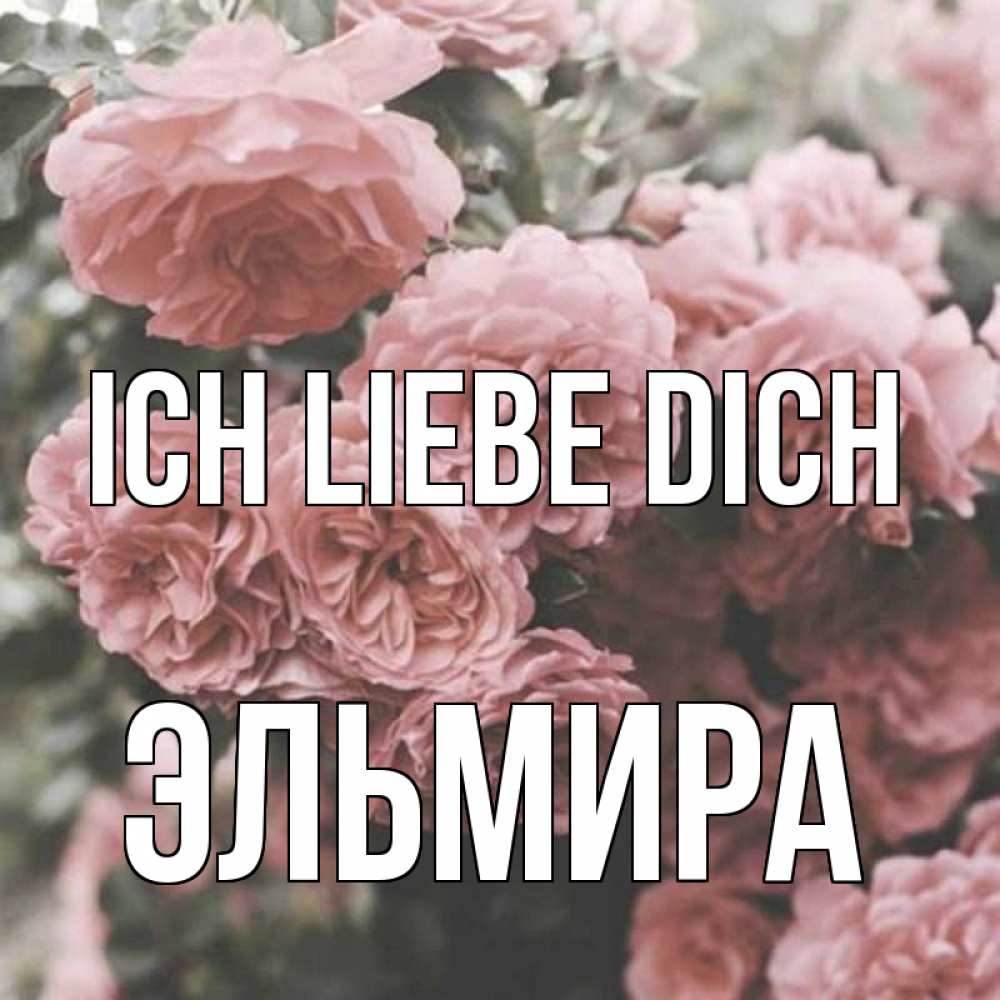 Открытка на каждый день с именем, Эльмира Ich liebe dich розы 3 Прикольная открытка с пожеланием онлайн скачать бесплатно 