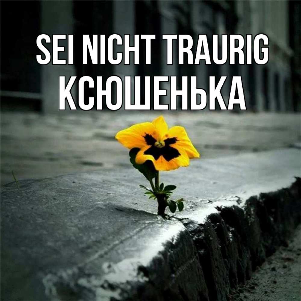 Открытка на каждый день с именем, Ксюшенька Sei nicht traurig не сдавайся Прикольная открытка с пожеланием онлайн скачать бесплатно 