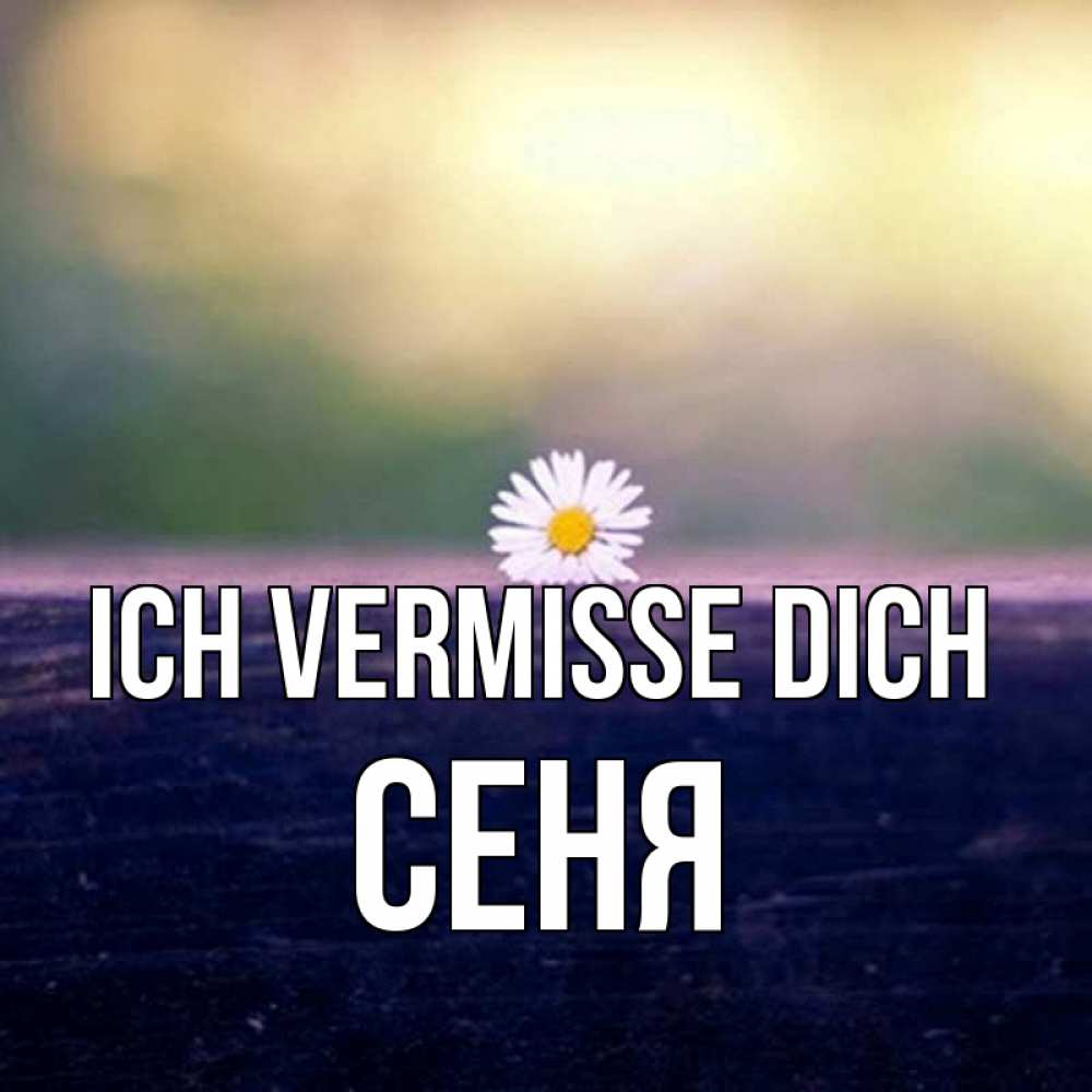 Открытка на каждый день с именем, Сеня Ich vermisse dich приходи в гости Прикольная открытка с пожеланием онлайн скачать бесплатно 