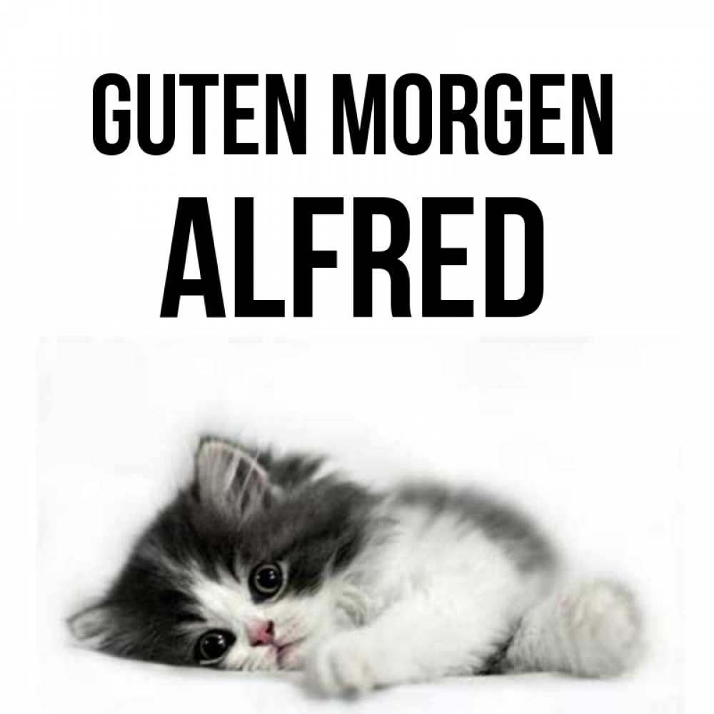 Открытка на каждый день с именем, Alfred Guten Morgen кот лапки Прикольная открытка с пожеланием онлайн скачать бесплатно 