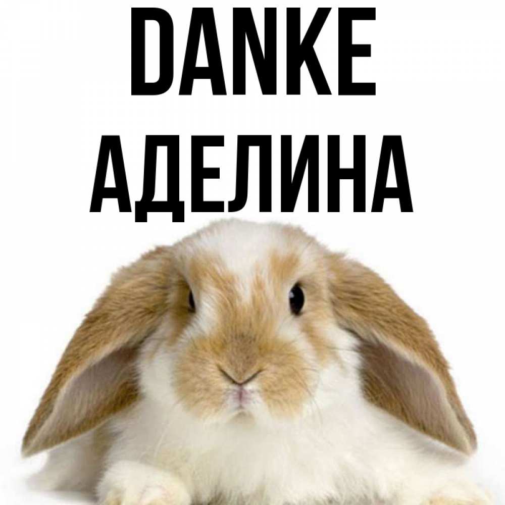 Открытка на каждый день с именем, Аделина Danke коричнево белый заяц Прикольная открытка с пожеланием онлайн скачать бесплатно 