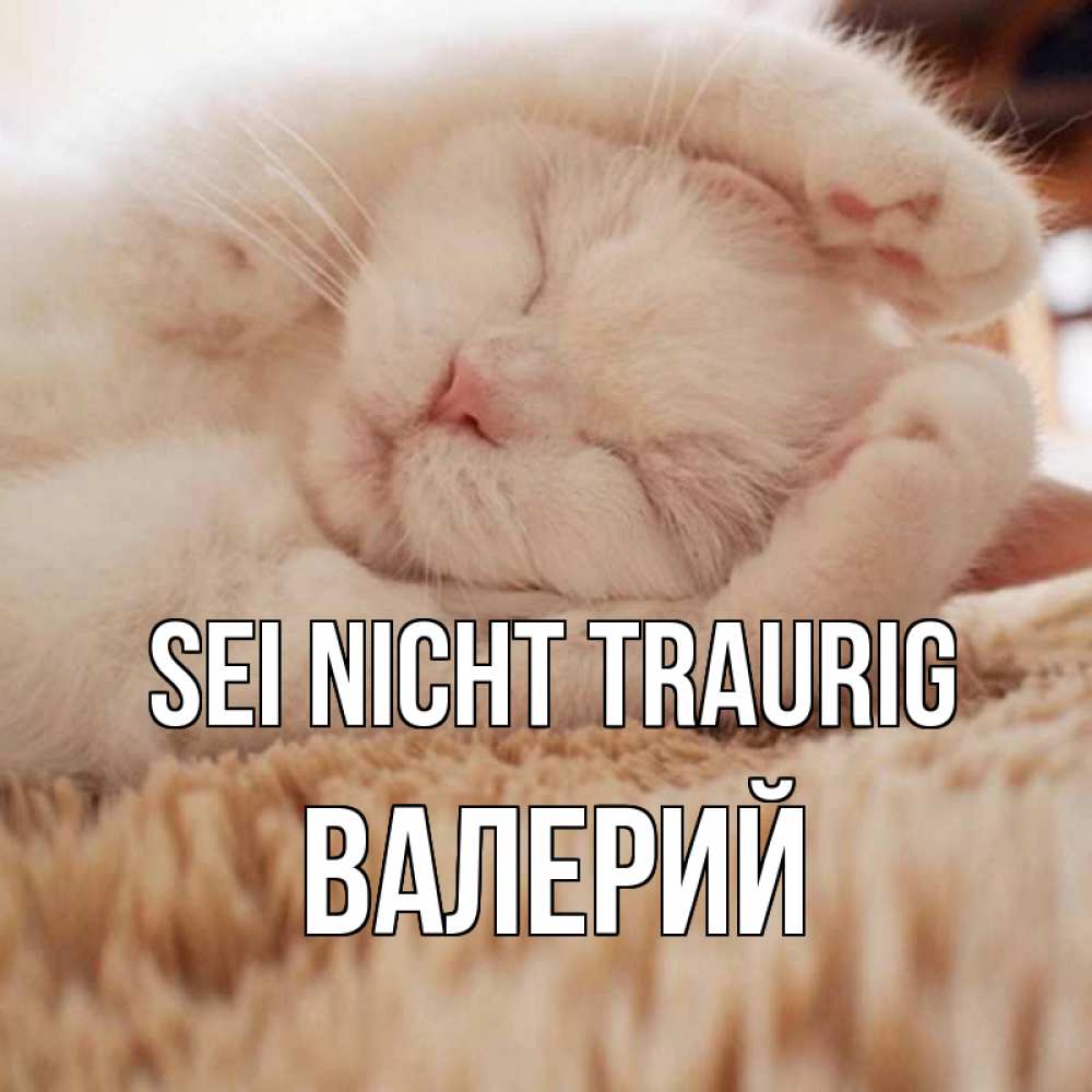 Открытка на каждый день с именем, Валерий Sei nicht traurig белый кот Прикольная открытка с пожеланием онлайн скачать бесплатно 