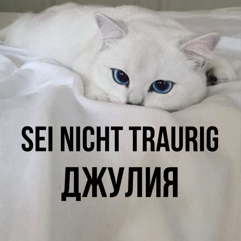 Открытка на каждый день с именем, Джулия Sei nicht traurig Голубоглазая кошка Прикольная открытка с пожеланием онлайн скачать бесплатно 