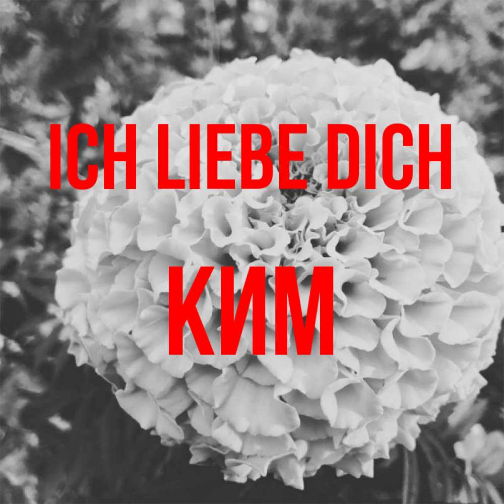 Открытка на каждый день с именем, Ким Ich liebe dich подпись Прикольная открытка с пожеланием онлайн скачать бесплатно 