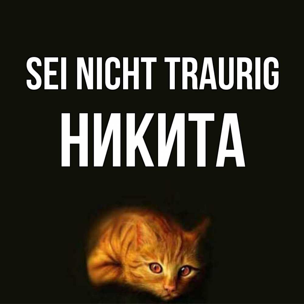 Открытка на каждый день с именем, Никита Sei nicht traurig лежащий кот в темноте Прикольная открытка с пожеланием онлайн скачать бесплатно 