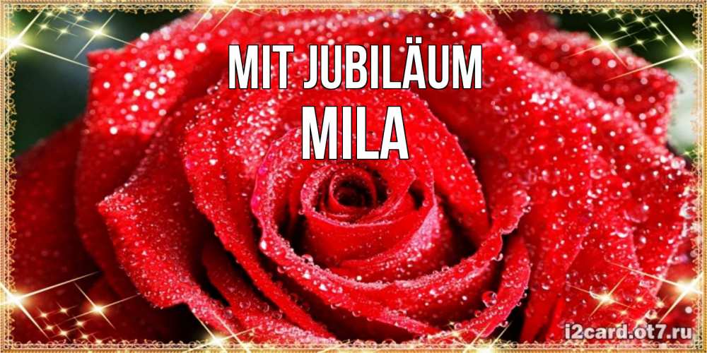 Открытка на каждый день с именем, Mila Mit Jubiläum роса и роза. открытка с красивой розой Прикольная открытка с пожеланием онлайн скачать бесплатно 