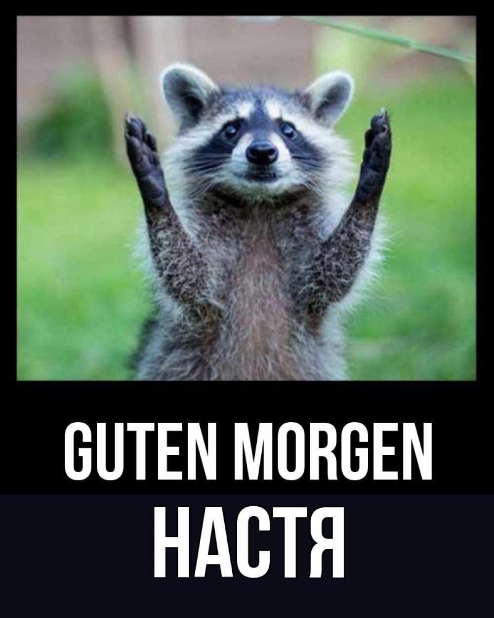 Открытка на каждый день с именем, Настя Guten Morgen хорошее настроение утречком Прикольная открытка с пожеланием онлайн скачать бесплатно 