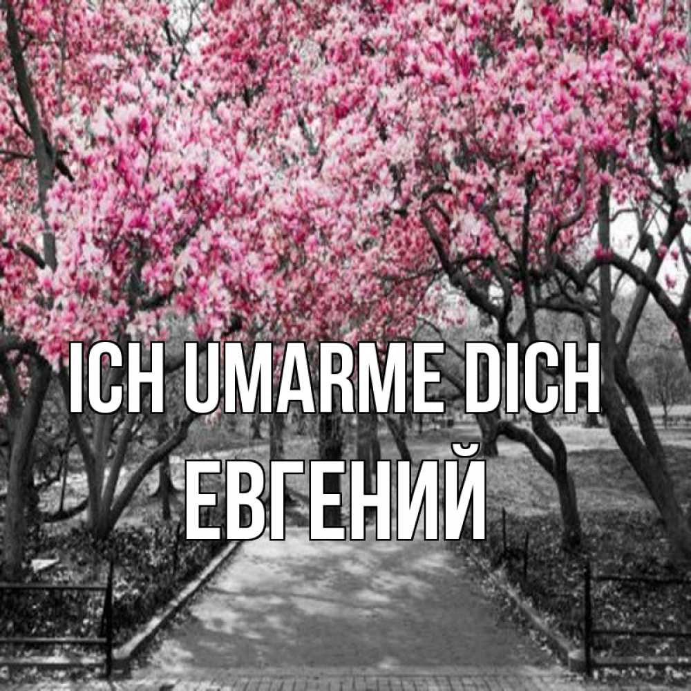 Открытка на каждый день с именем, Евгений Ich umarme dich обработанное фото Прикольная открытка с пожеланием онлайн скачать бесплатно 