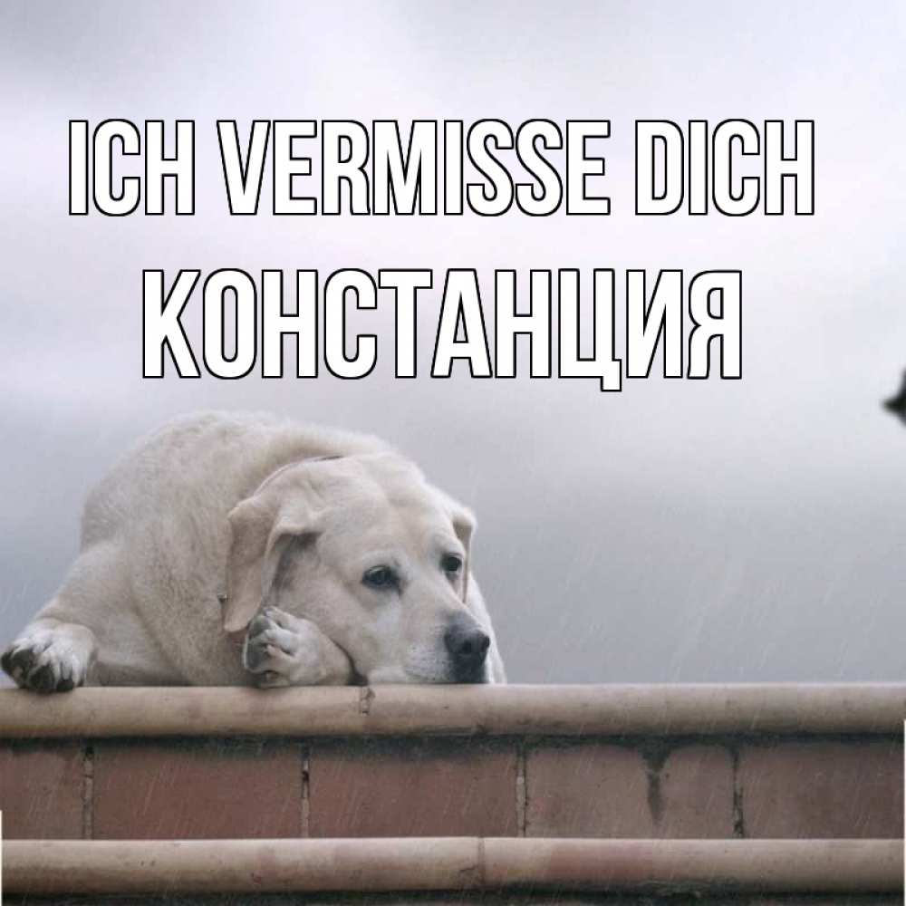 Открытка на каждый день с именем, Констанция Ich vermisse dich ждет Прикольная открытка с пожеланием онлайн скачать бесплатно 