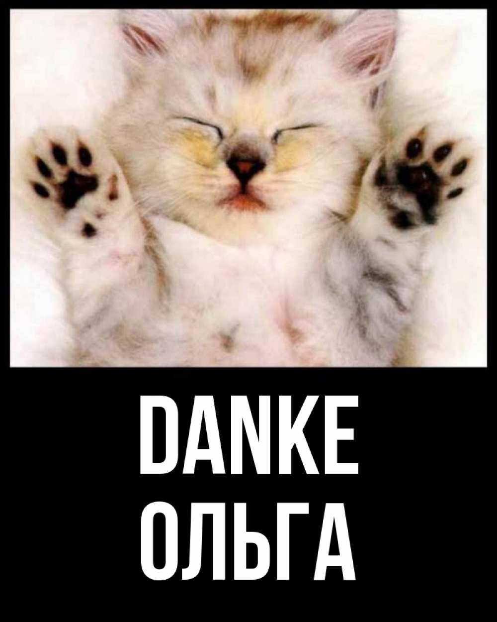 Открытка на каждый день с именем, Ольга Danke маленький котенок Прикольная открытка с пожеланием онлайн скачать бесплатно 