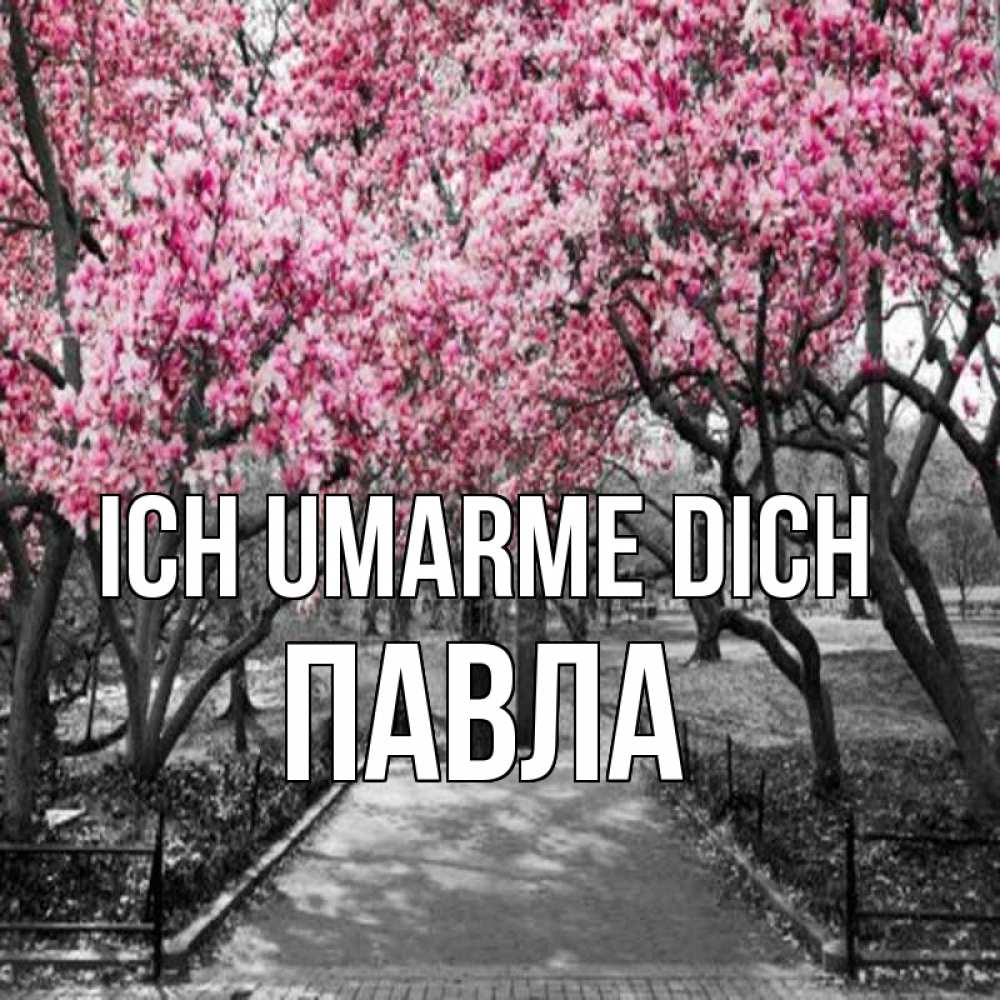 Открытка на каждый день с именем, Павла Ich umarme dich обработанное фото Прикольная открытка с пожеланием онлайн скачать бесплатно 