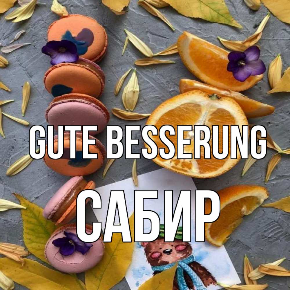 Открытка на каждый день с именем, Сабир Gute Besserung не болейте Прикольная открытка с пожеланием онлайн скачать бесплатно 