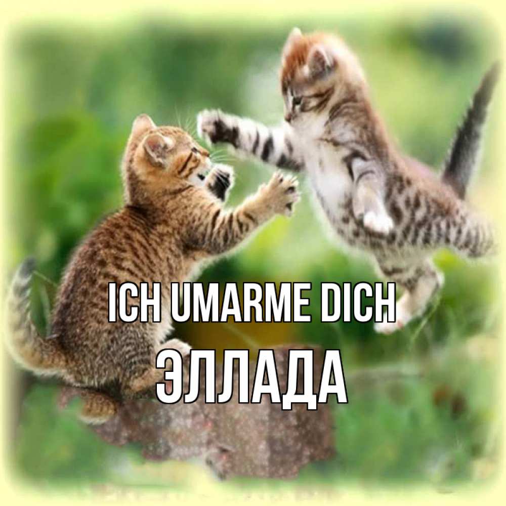 Открытка на каждый день с именем, Эллада Ich umarme dich игры котят Прикольная открытка с пожеланием онлайн скачать бесплатно 