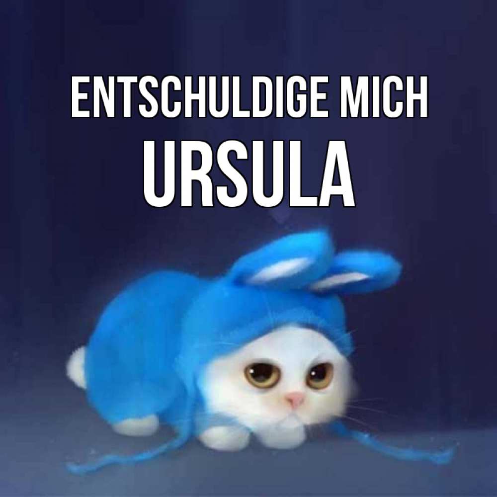 Открытка на каждый день с именем, Ursula Entschuldige mich невинный котозай просит прощения Прикольная открытка с пожеланием онлайн скачать бесплатно 
