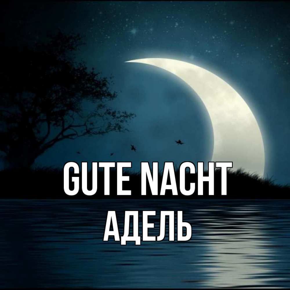 Открытка на каждый день с именем, Адель Gute Nacht вода Прикольная открытка с пожеланием онлайн скачать бесплатно 