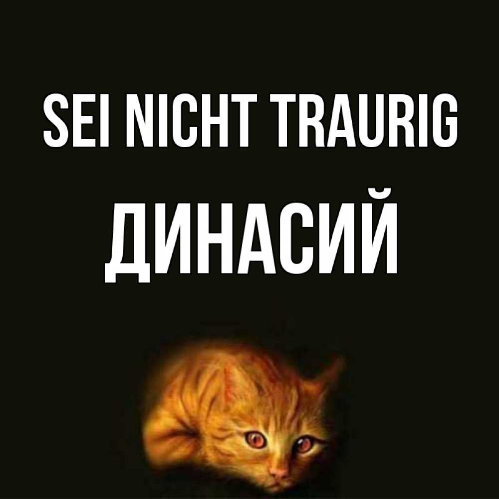 Открытка на каждый день с именем, Динасий Sei nicht traurig лежащий кот в темноте Прикольная открытка с пожеланием онлайн скачать бесплатно 