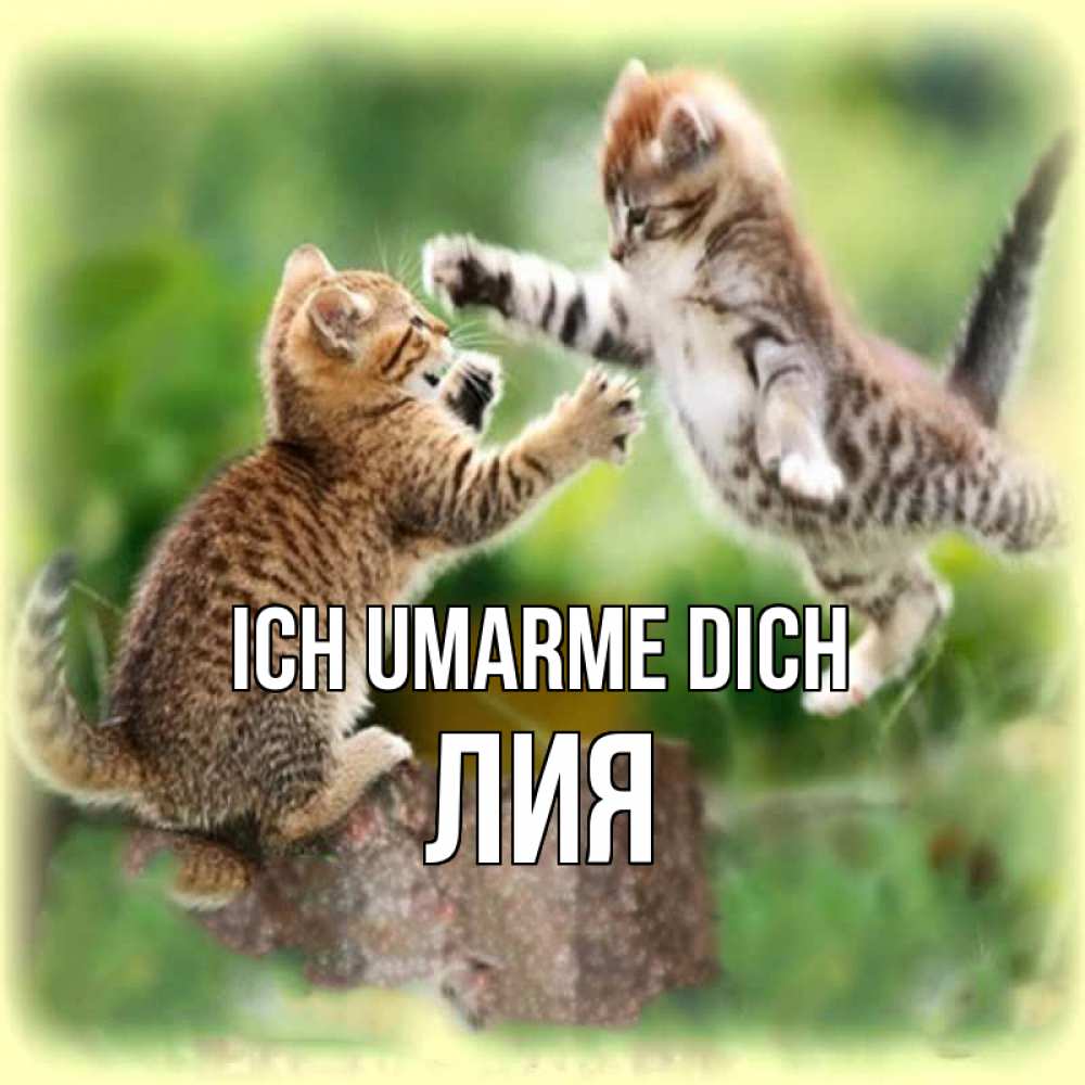 Открытка на каждый день с именем, Лия Ich umarme dich игры котят Прикольная открытка с пожеланием онлайн скачать бесплатно 