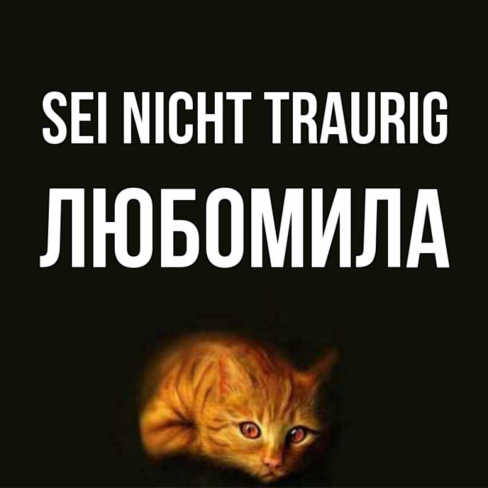 Открытка на каждый день с именем, Любомила Sei nicht traurig лежащий кот в темноте Прикольная открытка с пожеланием онлайн скачать бесплатно 