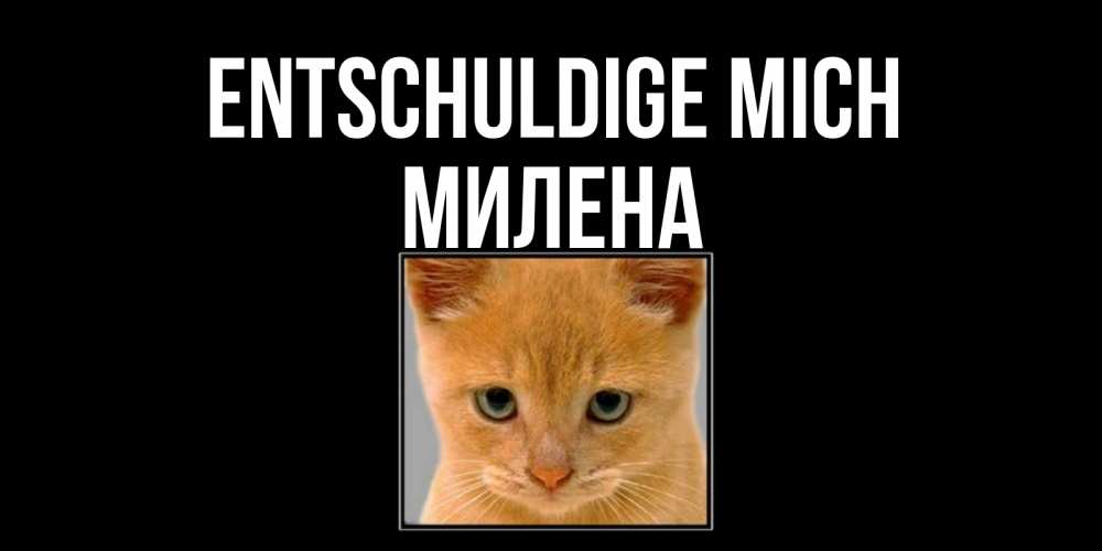 Открытка на каждый день с именем, Милена Entschuldige mich рыжий грустный кот просит прощения Прикольная открытка с пожеланием онлайн скачать бесплатно 