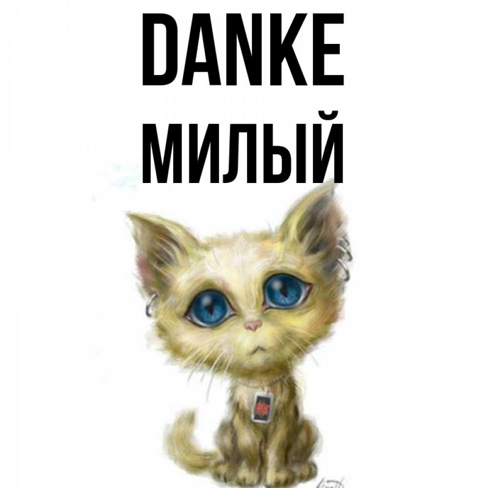 Открытка на каждый день с именем, Милый Danke рисованный кот благодарит вас Прикольная открытка с пожеланием онлайн скачать бесплатно 