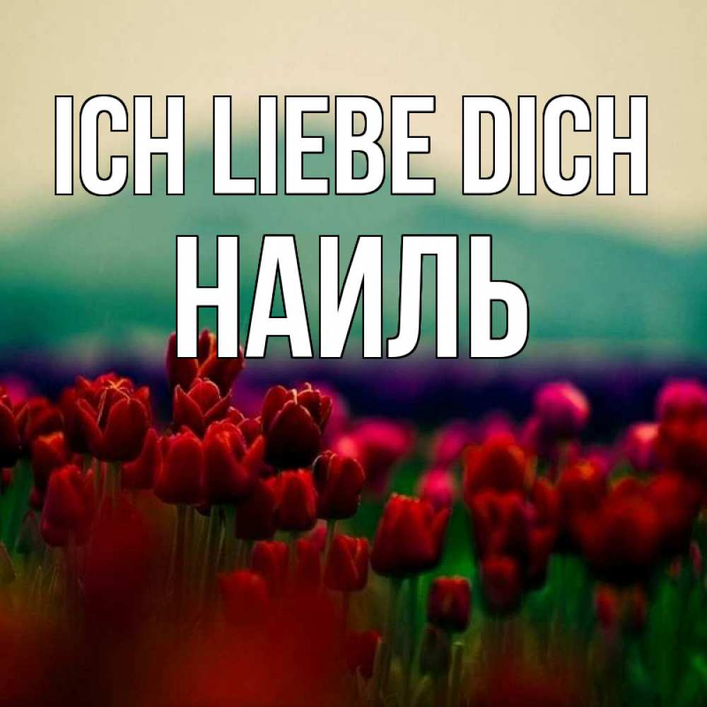 Открытка на каждый день с именем, Наиль Ich liebe dich тюльпаны 4 Прикольная открытка с пожеланием онлайн скачать бесплатно 