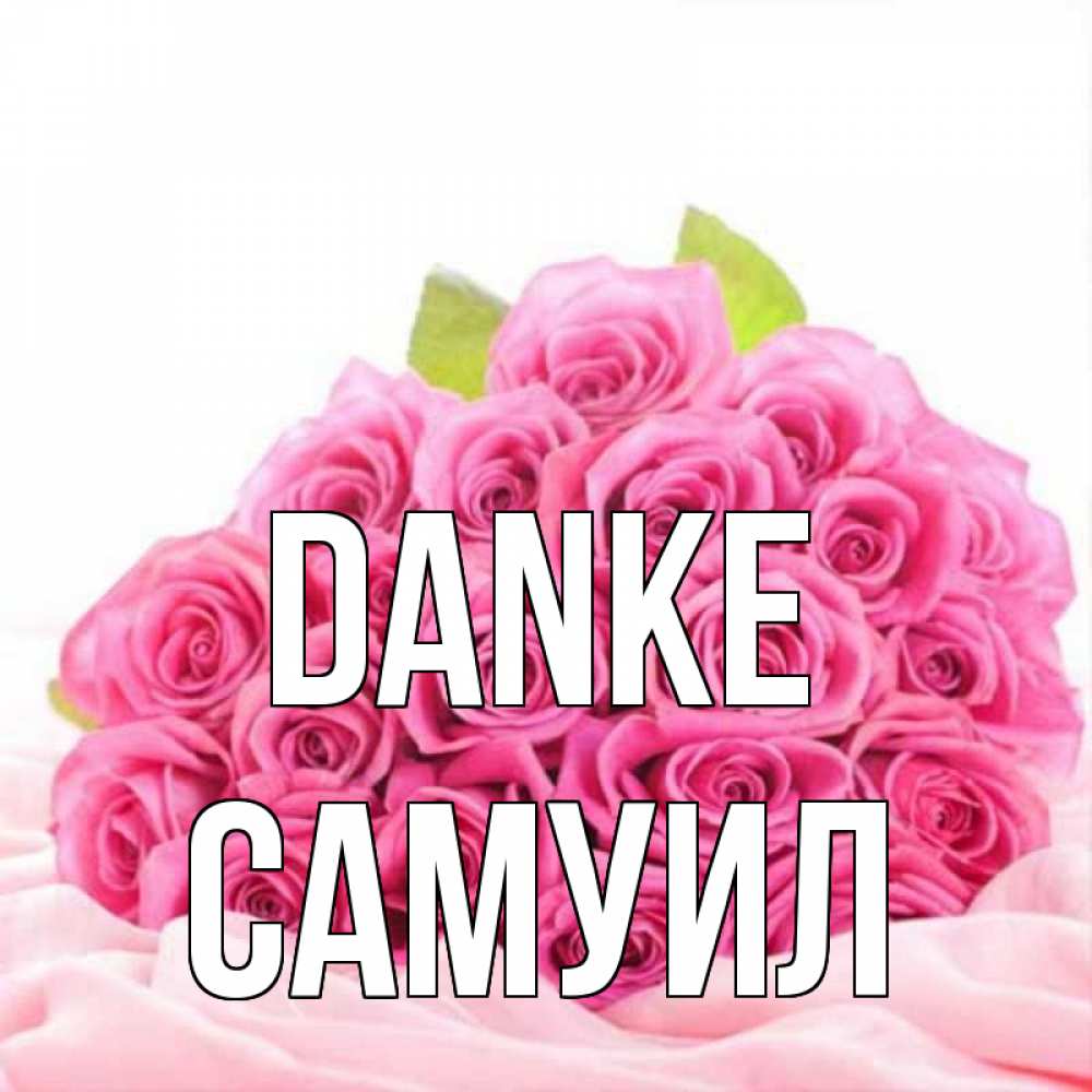 Открытка на каждый день с именем, Самуил Danke розовые розы с подписью Прикольная открытка с пожеланием онлайн скачать бесплатно 