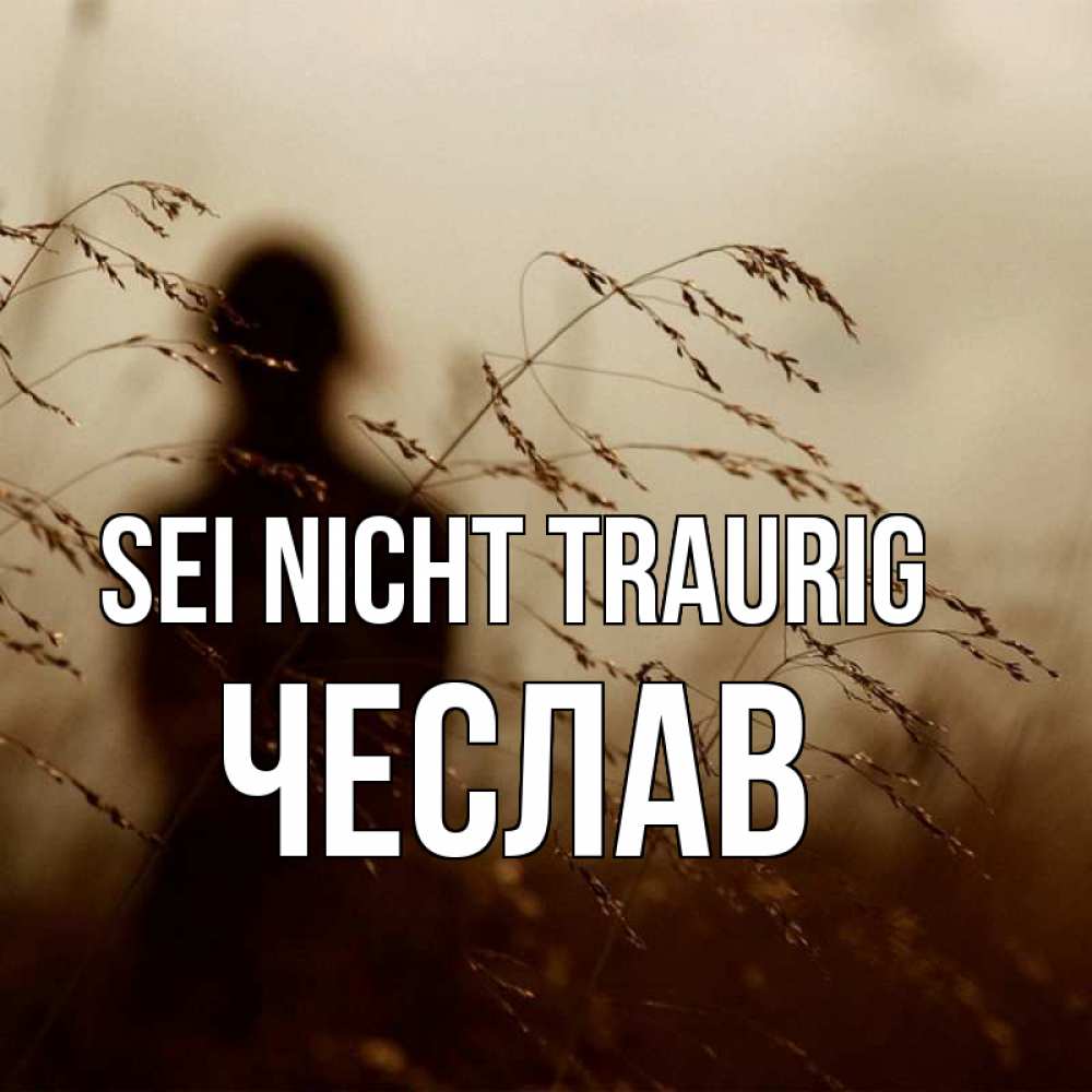 Открытка на каждый день с именем, Чеслав Sei nicht traurig грусть Прикольная открытка с пожеланием онлайн скачать бесплатно 