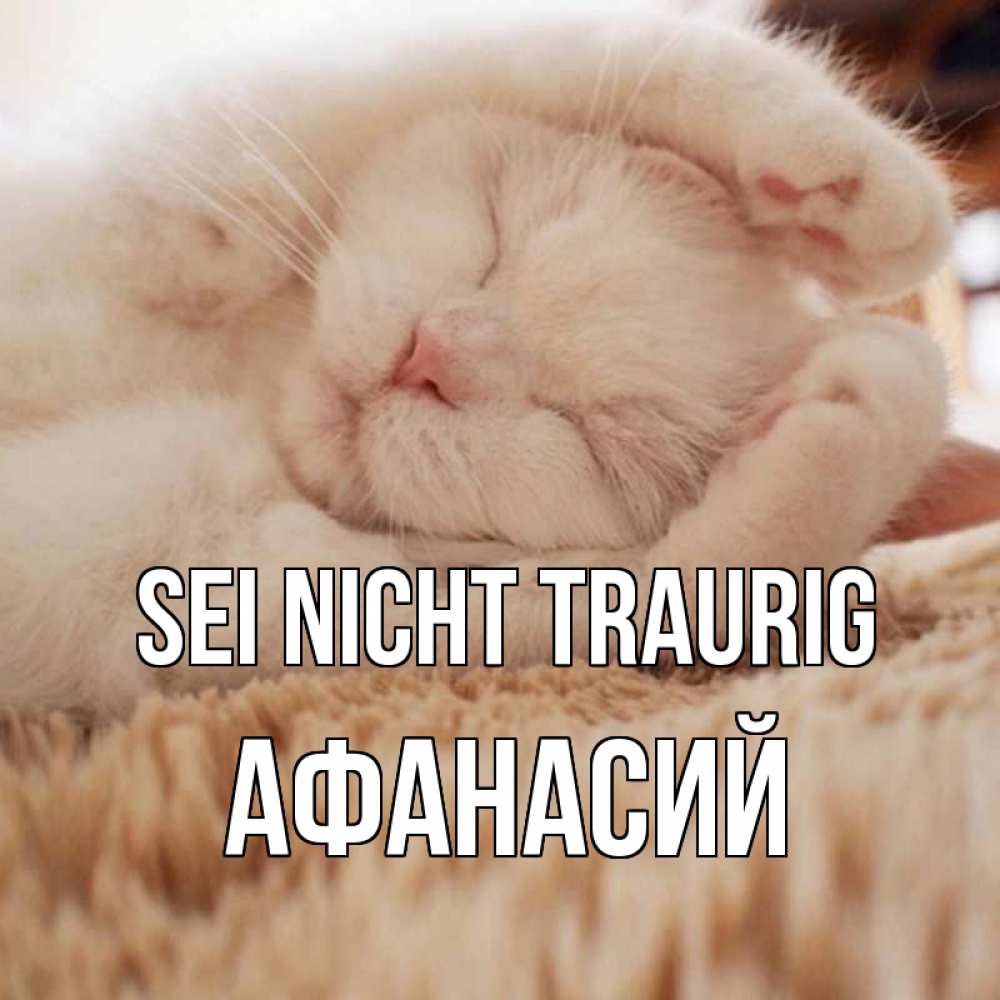 Открытка на каждый день с именем, Афанасий Sei nicht traurig белый кот Прикольная открытка с пожеланием онлайн скачать бесплатно 