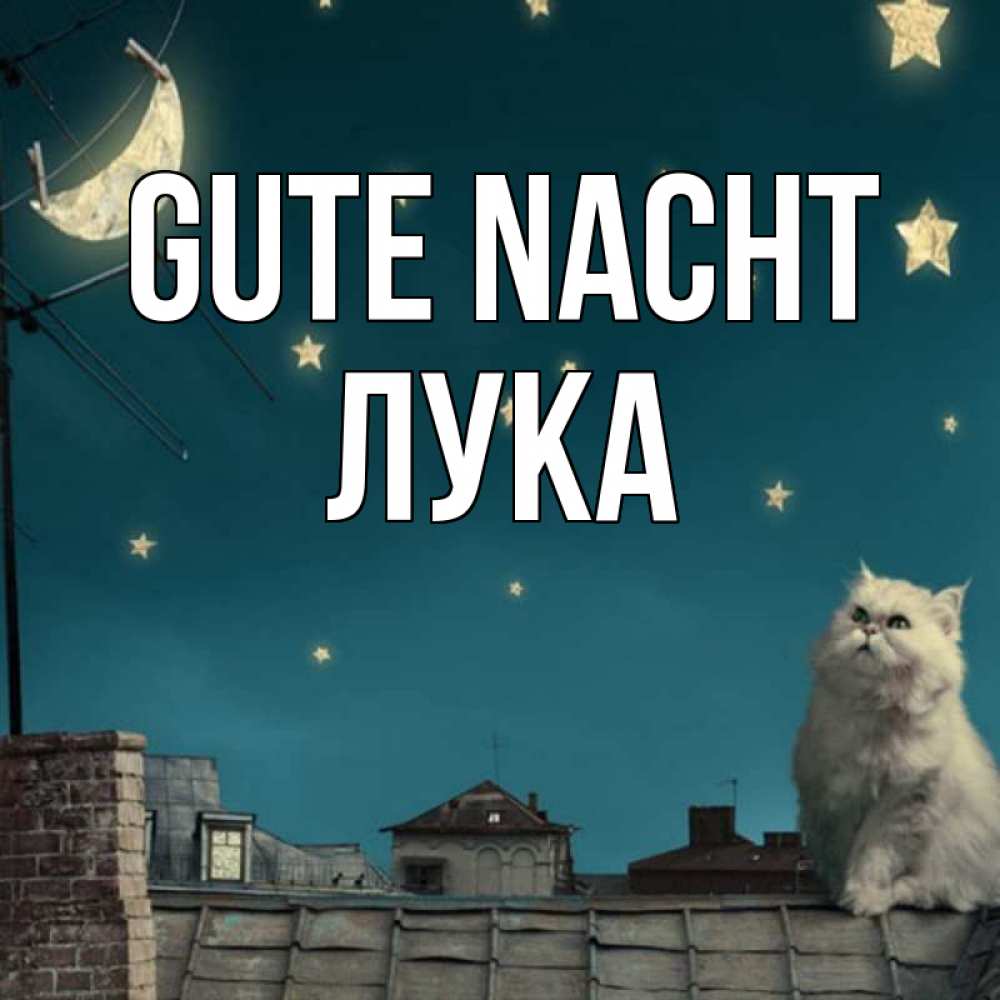Открытка на каждый день с именем, Лука Gute Nacht белый кот сидит на крыше Прикольная открытка с пожеланием онлайн скачать бесплатно 
