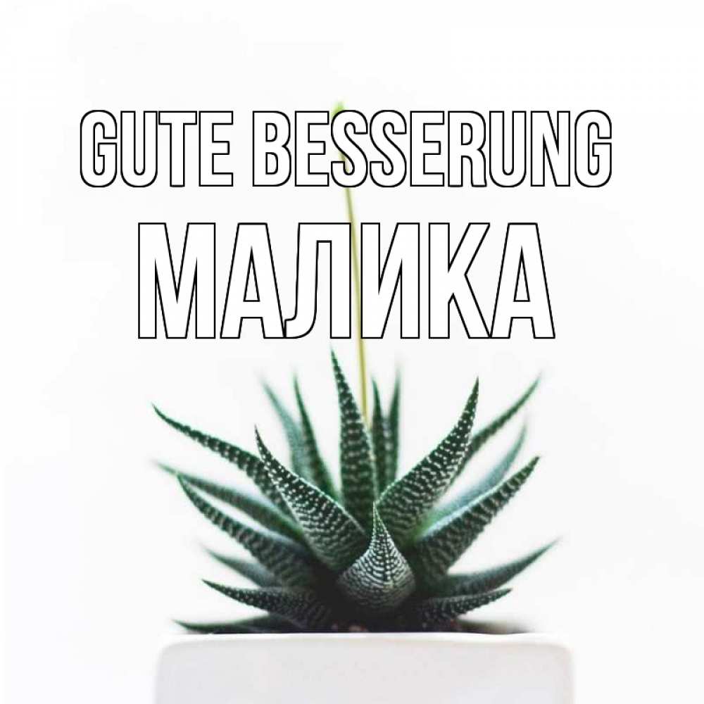 Открытка на каждый день с именем, Малика Gute Besserung короче это непонятная колючка Прикольная открытка с пожеланием онлайн скачать бесплатно 