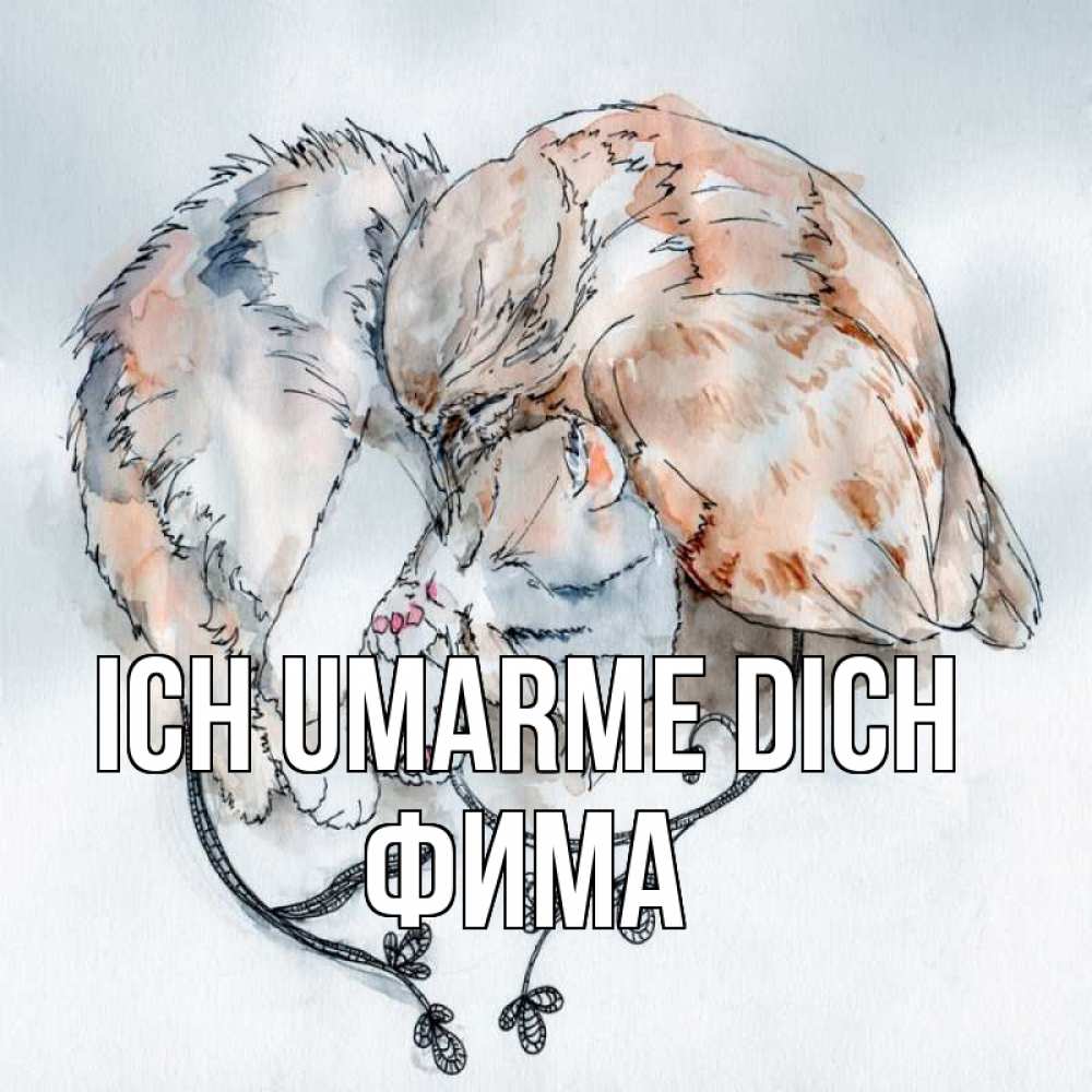 Открытка на каждый день с именем, Фима Ich umarme dich можно быть вместе даже когда очень разные Прикольная открытка с пожеланием онлайн скачать бесплатно 