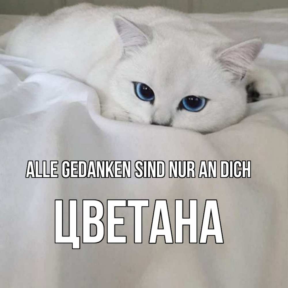 Открытка на каждый день с именем, Цветана Alle Gedanken sind nur an dich я очень по тебе скучаю и тоскую Прикольная открытка с пожеланием онлайн скачать бесплатно 