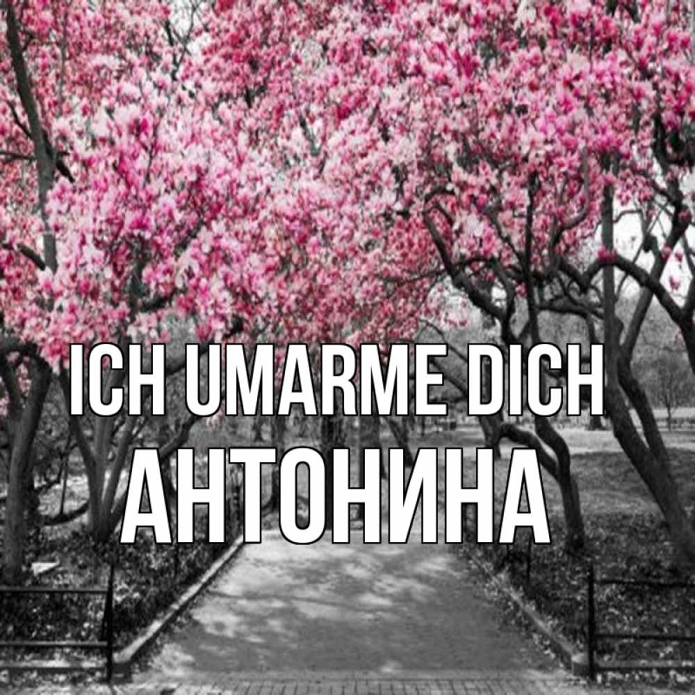 Открытка на каждый день с именем, Антонина Ich umarme dich обработанное фото Прикольная открытка с пожеланием онлайн скачать бесплатно 