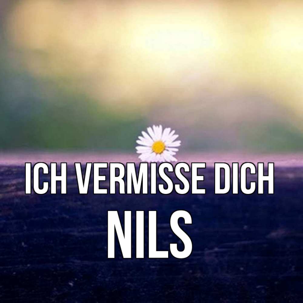 Открытка на каждый день с именем, Nils Ich vermisse dich приходи в гости Прикольная открытка с пожеланием онлайн скачать бесплатно 