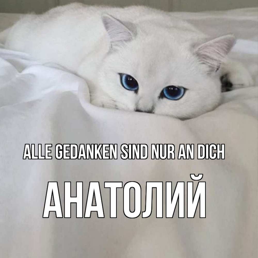 Открытка на каждый день с именем, Анатолий Alle Gedanken sind nur an dich я очень по тебе скучаю и тоскую Прикольная открытка с пожеланием онлайн скачать бесплатно 