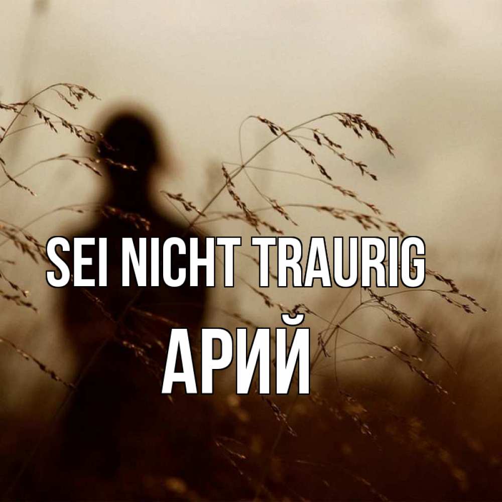 Открытка на каждый день с именем, Арий Sei nicht traurig грусть Прикольная открытка с пожеланием онлайн скачать бесплатно 