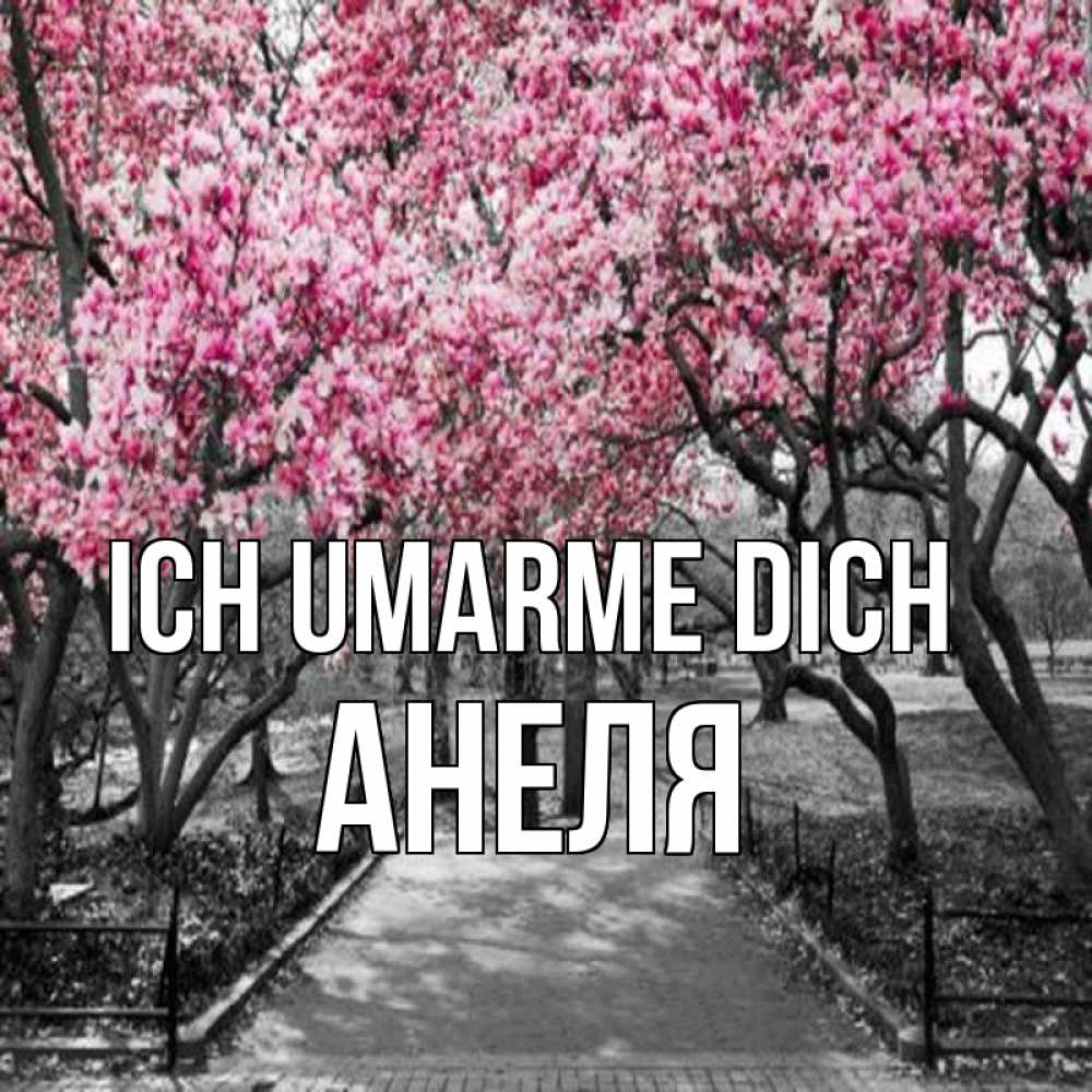Открытка на каждый день с именем, Анеля Ich umarme dich обработанное фото Прикольная открытка с пожеланием онлайн скачать бесплатно 