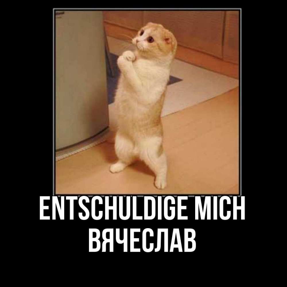 Открытка на каждый день с именем, Вячеслав Entschuldige mich открытка с милым несчастным котиком просящим прощения Прикольная открытка с пожеланием онлайн скачать бесплатно 