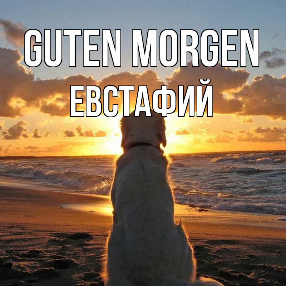 Открытка на каждый день с именем, Евстафий Guten Morgen восход солнца Прикольная открытка с пожеланием онлайн скачать бесплатно 