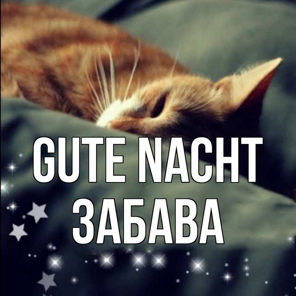 Открытка на каждый день с именем, Забава Gute Nacht кроватка Прикольная открытка с пожеланием онлайн скачать бесплатно 