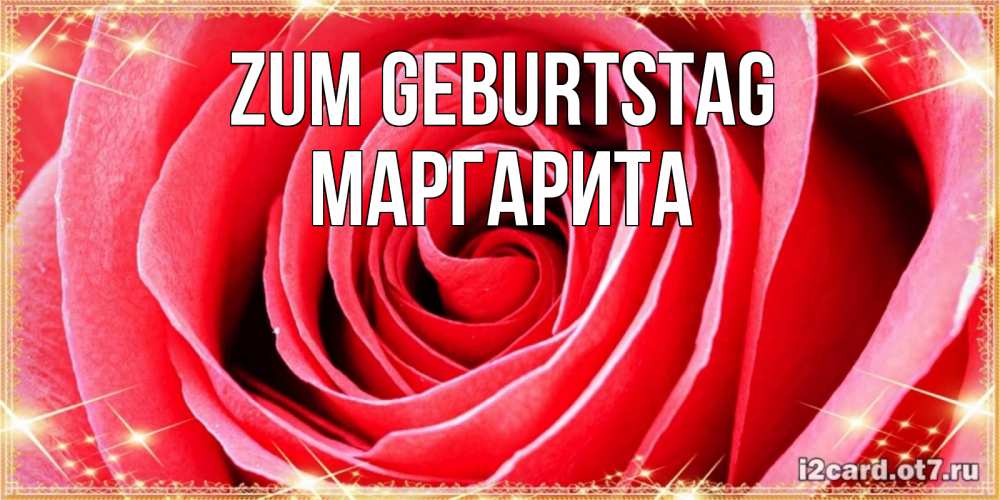 Открытка на каждый день с именем, Маргарита Zum Geburtstag розовая роза очень крупный бутон Прикольная открытка с пожеланием онлайн скачать бесплатно 
