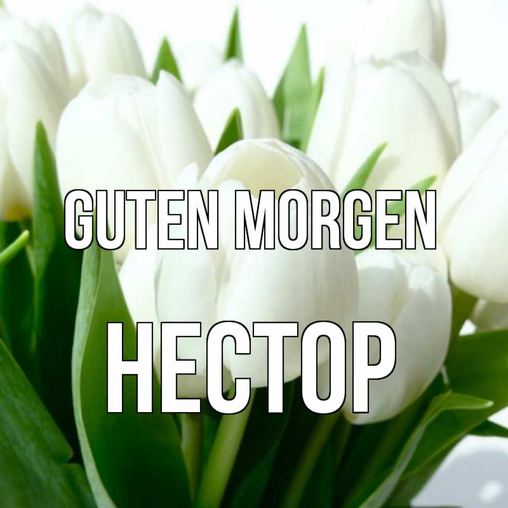 Открытка на каждый день с именем, Нестор Guten Morgen открытки на каждый день по именам Прикольная открытка с пожеланием онлайн скачать бесплатно 