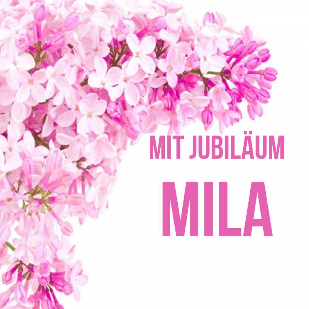 Открытка на каждый день с именем, Mila Mit Jubiläum Сирень на белом фоне Прикольная открытка с пожеланием онлайн скачать бесплатно 