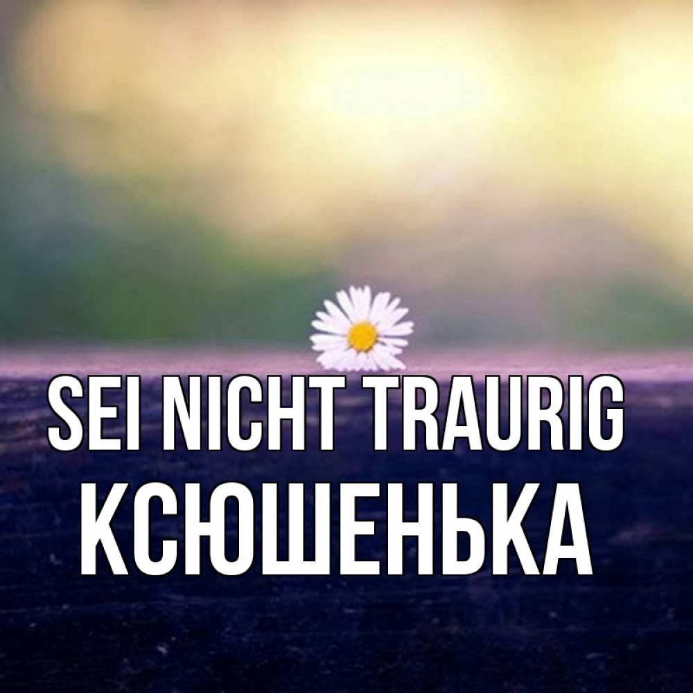 Открытка на каждый день с именем, Ксюшенька Sei nicht traurig красота Прикольная открытка с пожеланием онлайн скачать бесплатно 