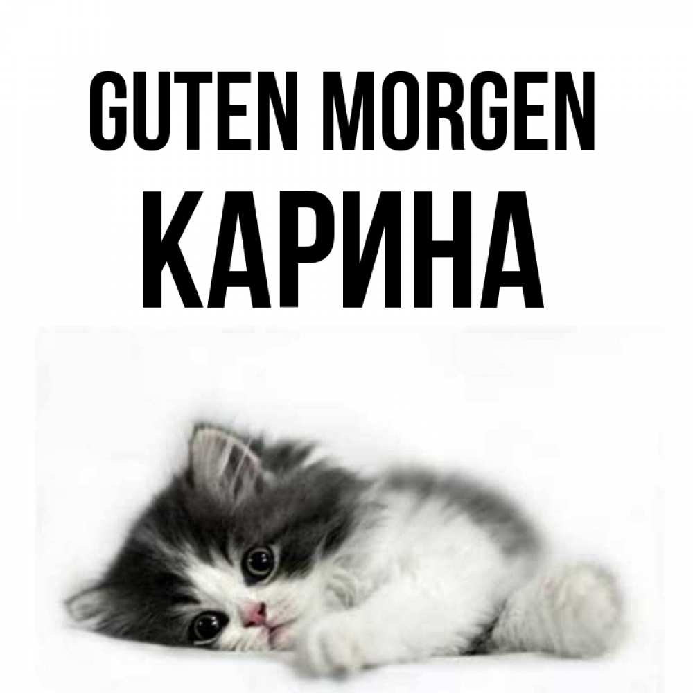 Открытка на каждый день с именем, Карина Guten Morgen кот лапки Прикольная открытка с пожеланием онлайн скачать бесплатно 